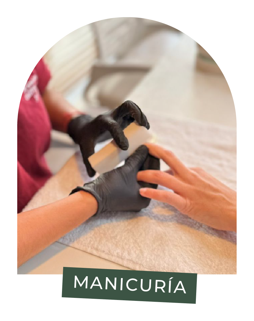 Manicura
