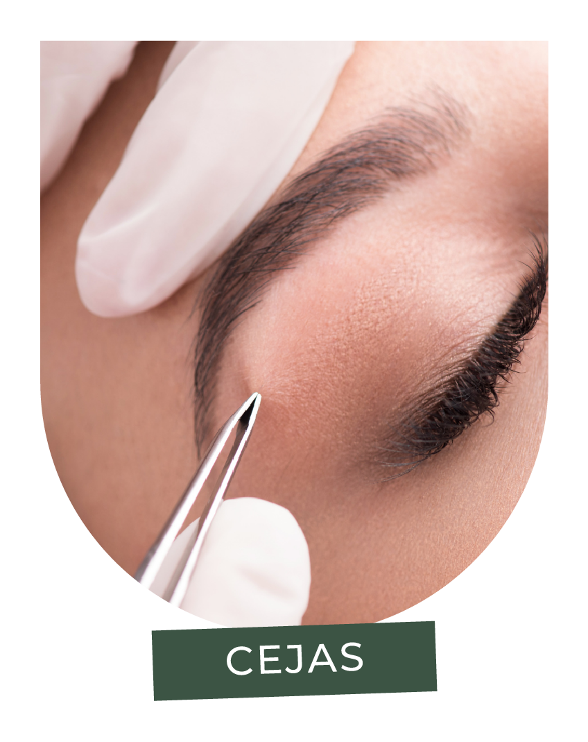Cejas